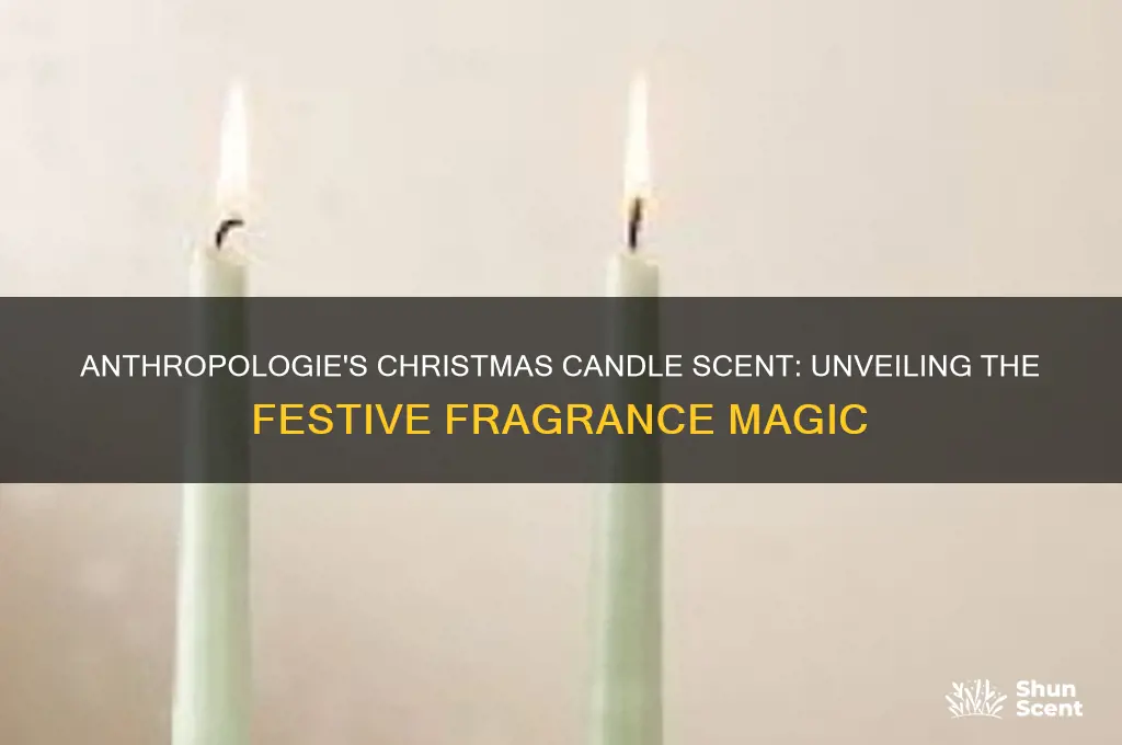 what is the anthroplogie christmas candle scent