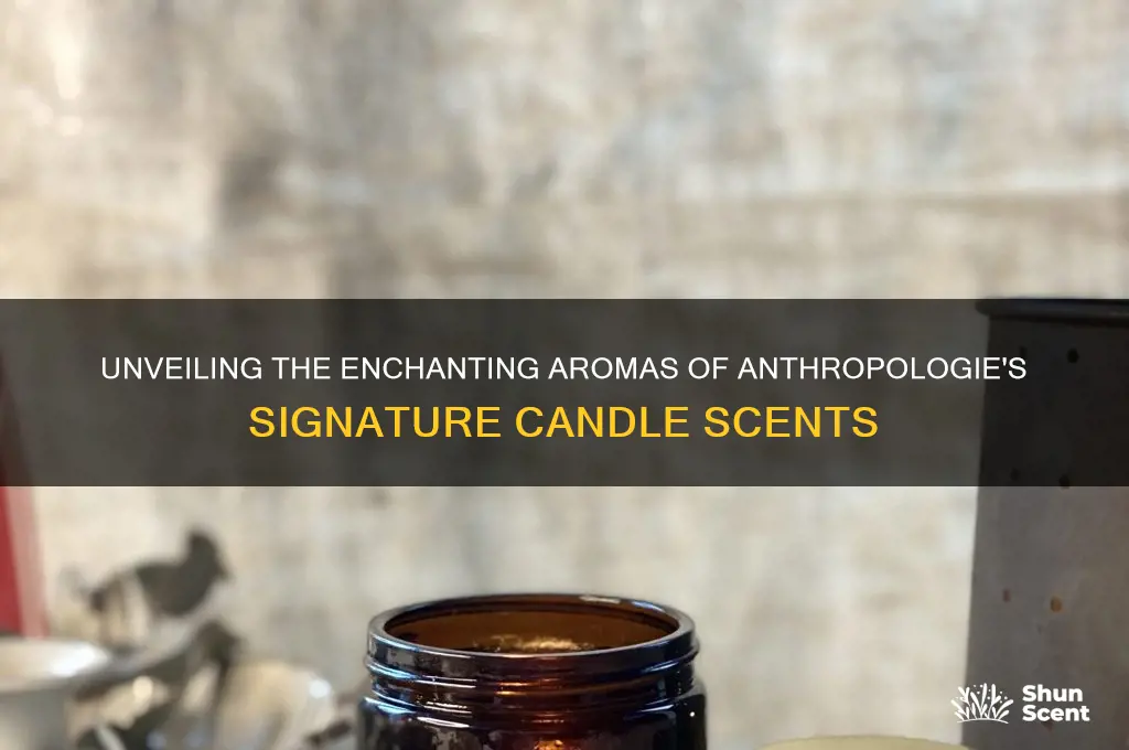 what is the anthropologie candle scent