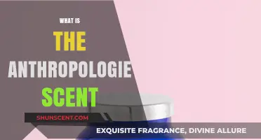 Unveiling the Signature Anthropologie Scent: A Sensory Journey Explained