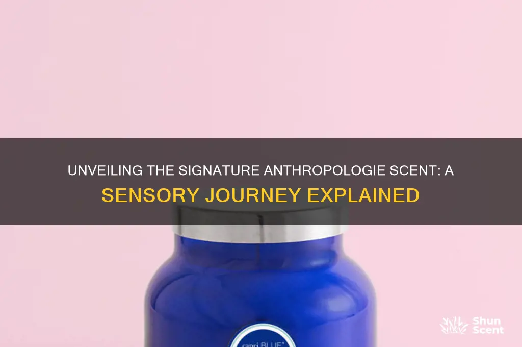 what is the anthropologie scent