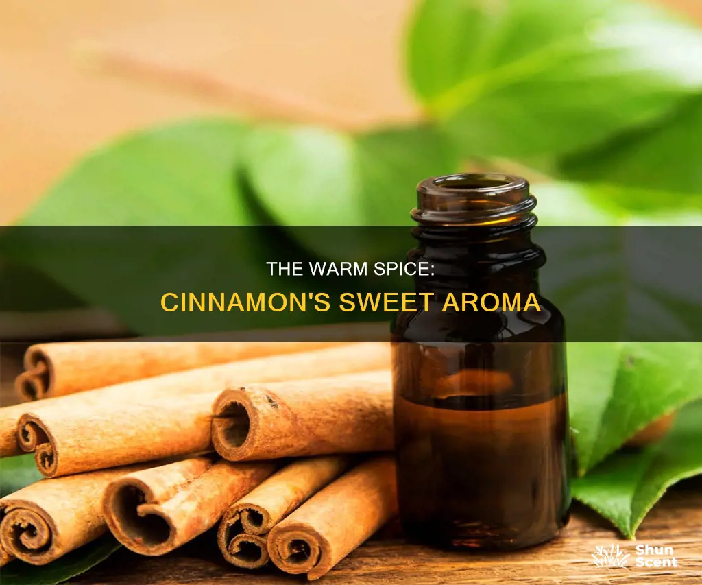 what is the aroma of cinnamon