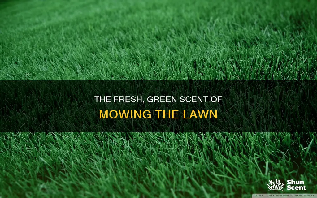 what is the aroma of mowing the lawn called