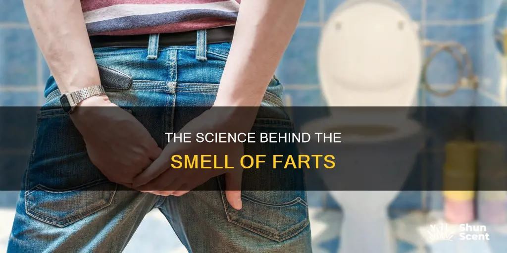 what is the aroma that comes from our asshole