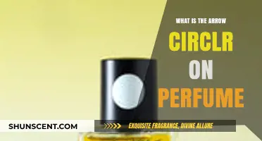 The Significance of the Perfume's Arrow Circle