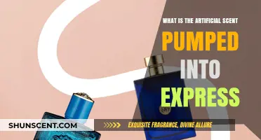 Unveiling the Artificial Scent Mystery in Express Stores: What's Pumped In?