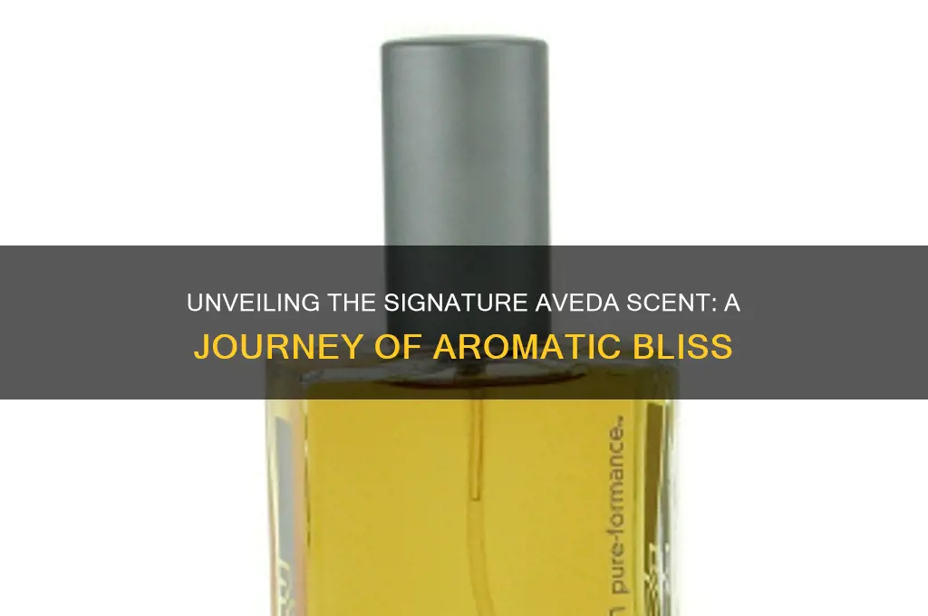 what is the aveda scent