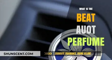 Best Auto Perfumes: Enhance Your Car Experience