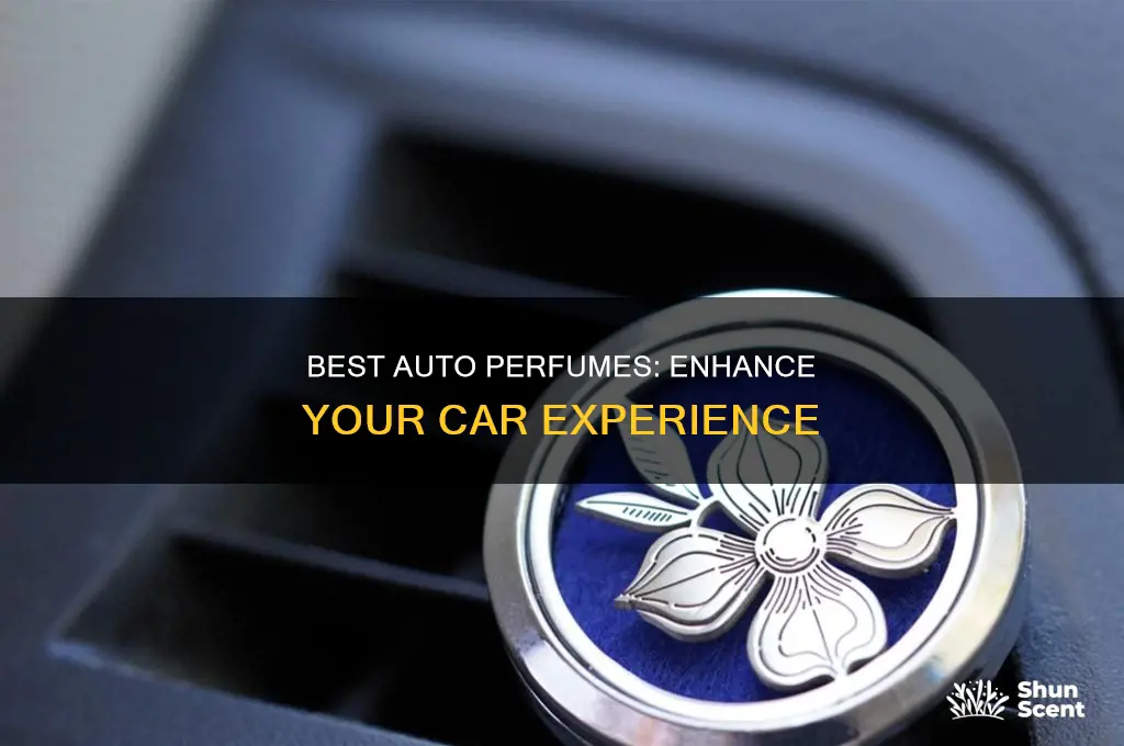what is the beat auot perfume