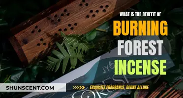 Forest Incense: Benefits of Burning Scents
