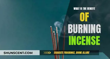 Incense Burning: Ancient Ritual, Modern Benefits