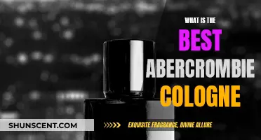 Best Colognes by Abercrombie: Our Top Picks