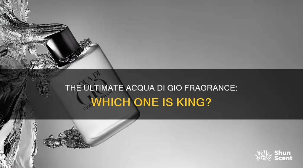 what is the best acqua di gio fragrance