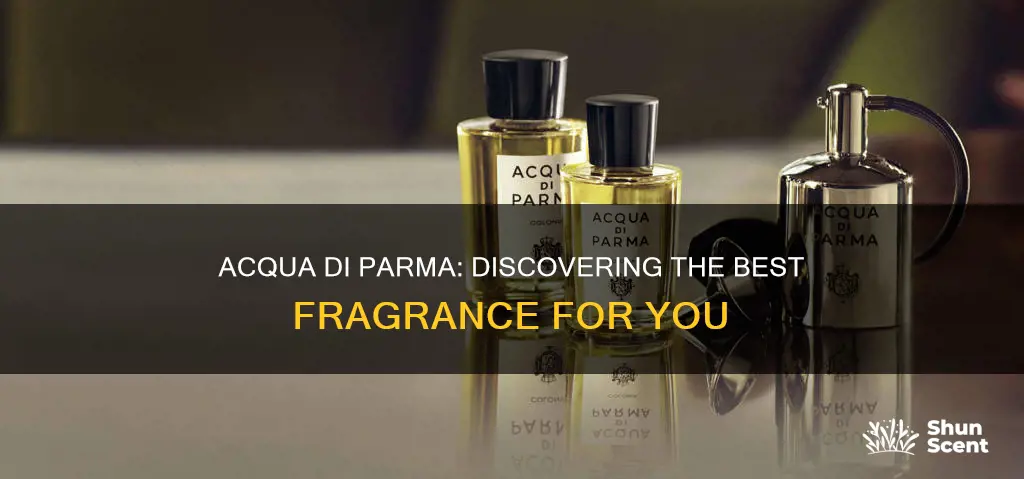 what is the best acqua di parma fragrance