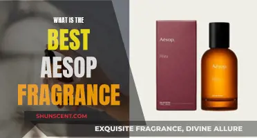 The Best Fragrances by Aesop: Our Top Picks