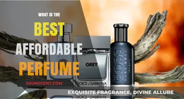Affordable Scents: Finding Your Signature Scent on a Budget