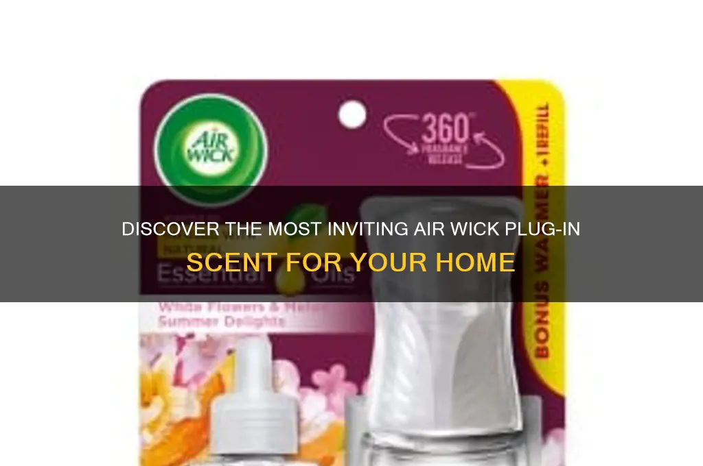 what is the best air wick plug in scent