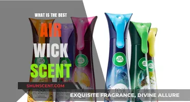 Discover the Most Inviting Air Wick Scent for Your Home