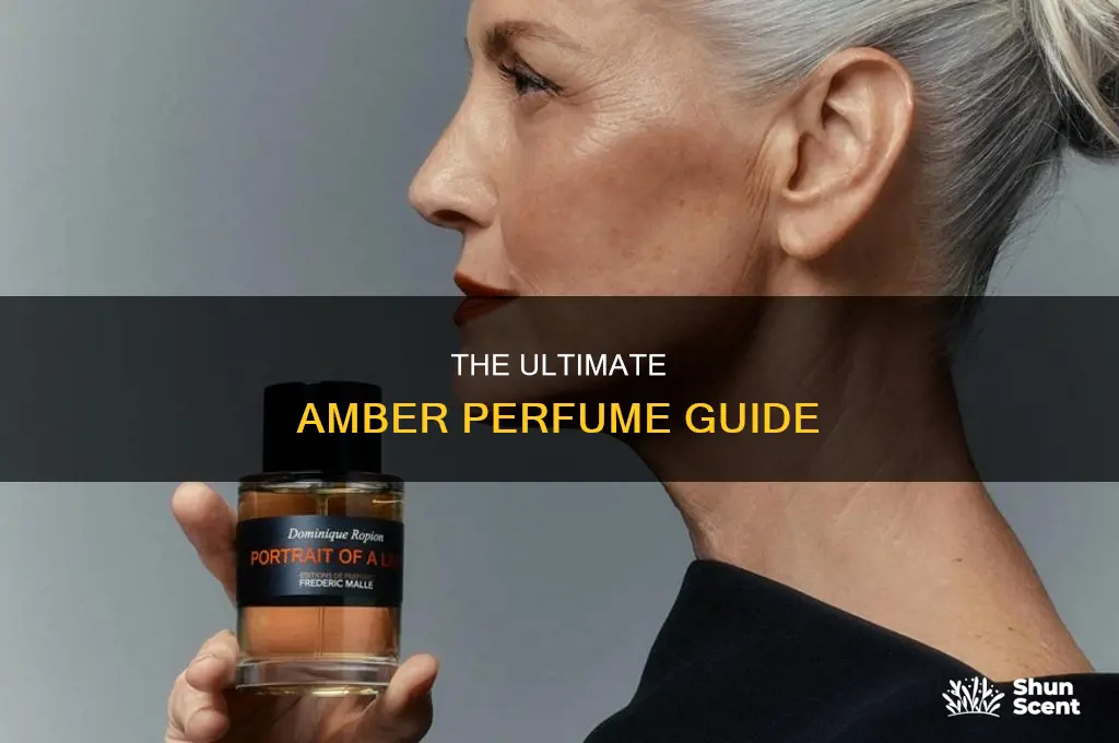 what is the best amber perfume