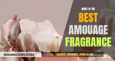 Amouage Fragrances: The Ultimate Luxurious Aromatic Experience