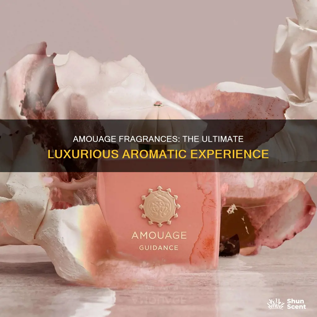 what is the best amouage fragrance