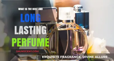 Best Long-Lasting Scents: Fragrances that Endure