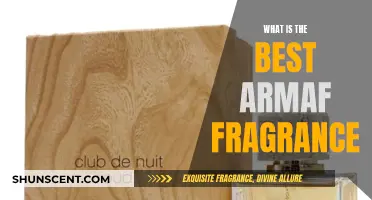 Armaf Fragrances: The Best Scents for You
