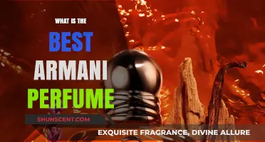 Armani Scents: Discover the Best Perfumes for You
