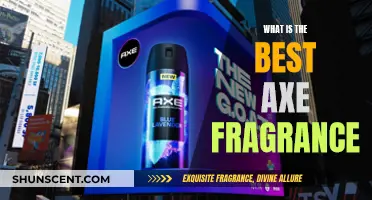 The Ultimate Axe Fragrance Guide for Men