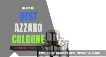 The Best Azzaro Colognes: Our Top Picks