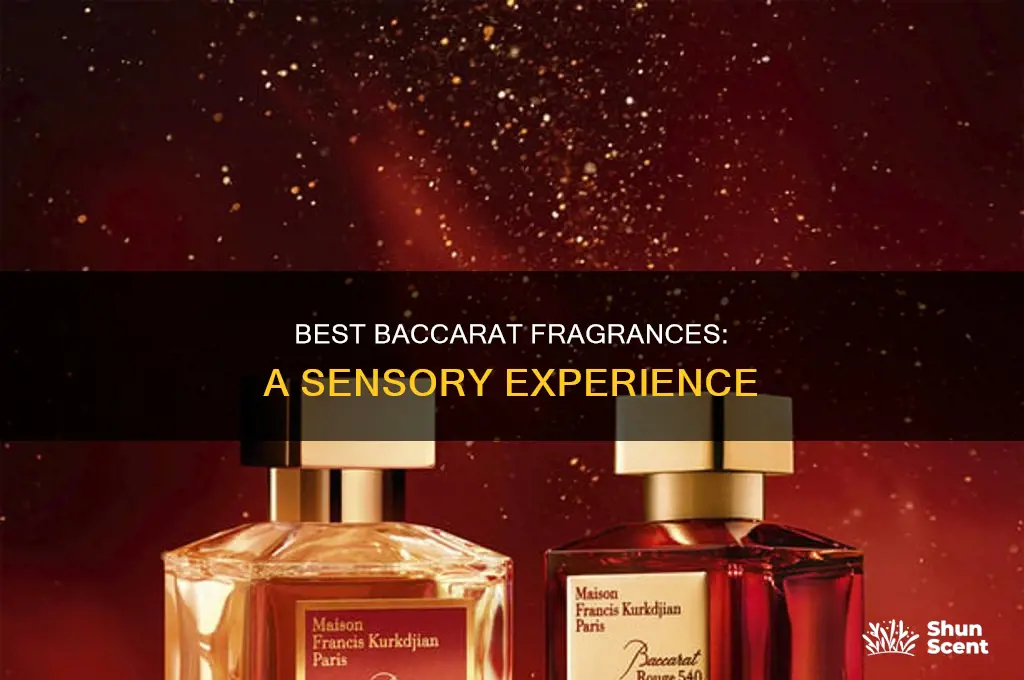 what is the best baccarat perfume