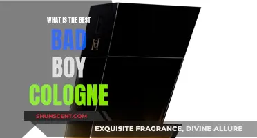 Bad Boy Colognes: The Ultimate Guide to Choosing the Best