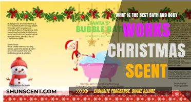Top Festive Bath & Body Works Christmas Scents to Try Now