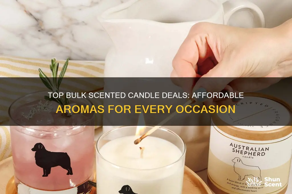 what is the best best bulk scented candle deal