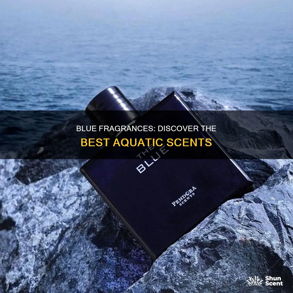 what is the best blue fragrance