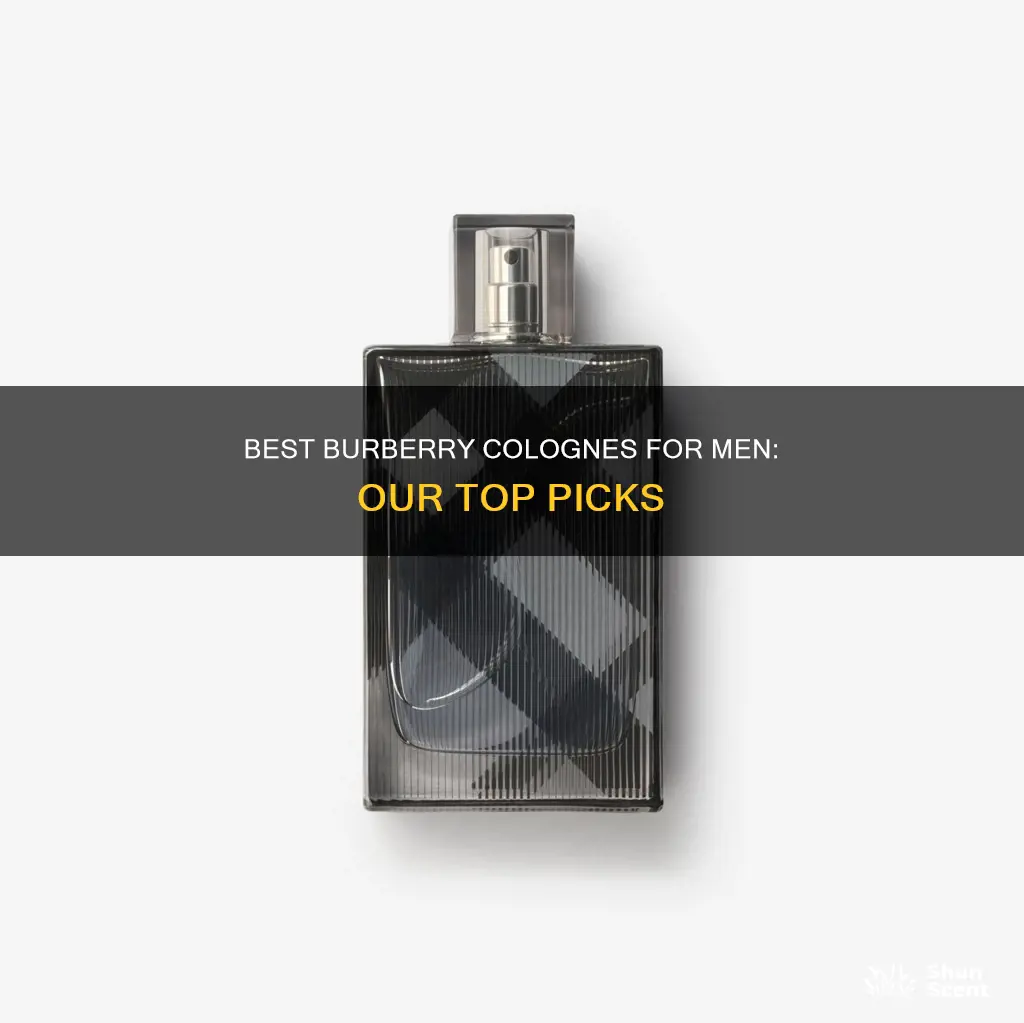 what is the best burberry cologne for men