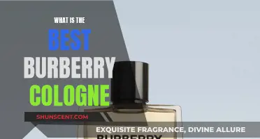 Best Burberry Colognes: Our Top Picks for Him