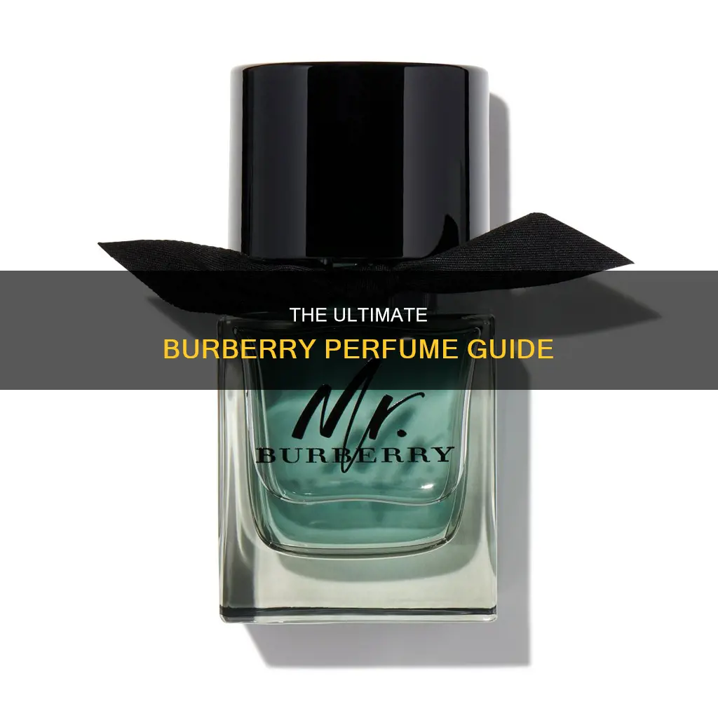 what is the best burberry perfume