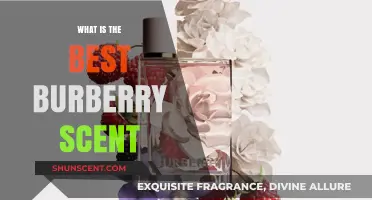 Discover the Best Burberry Scent: A Guide to Top Fragrances