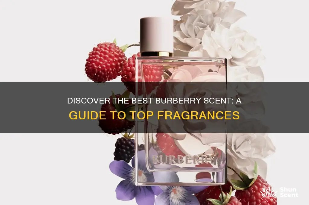 what is the best burberry scent
