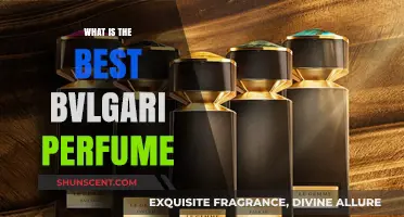 The Ultimate Bvlgari Fragrance Guide for You
