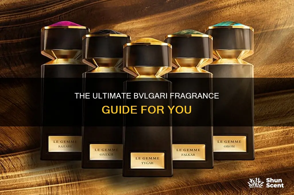 what is the best bvlgari perfume