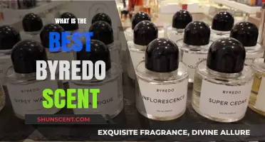 Discovering Byredo's Best Scent: A Guide to Top Fragrances