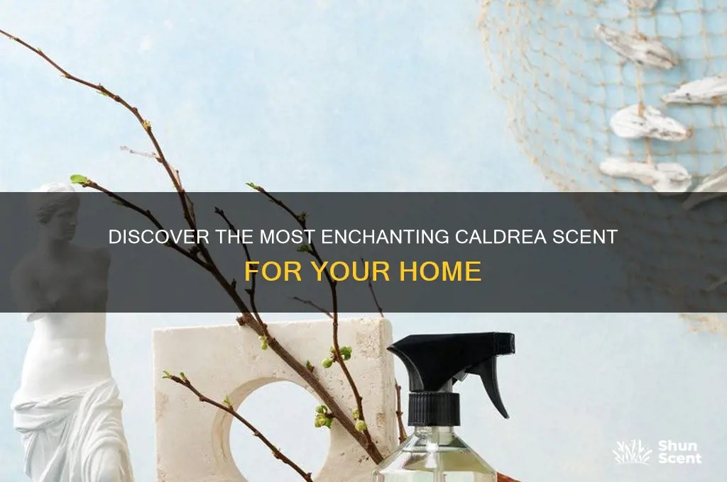 what is the best caldrea scent
