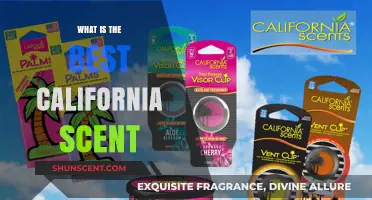 Discover California's Signature Scents: Top Aromas to Love and Live By