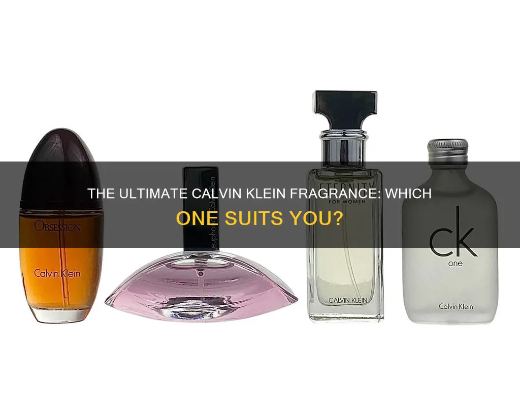 what is the best calvin klein fragrance