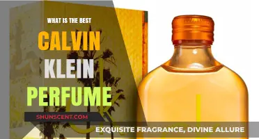 Calvin Klein's Most Sensational Scents: Our Top Picks