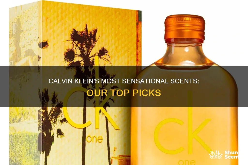 what is the best calvin klein perfume
