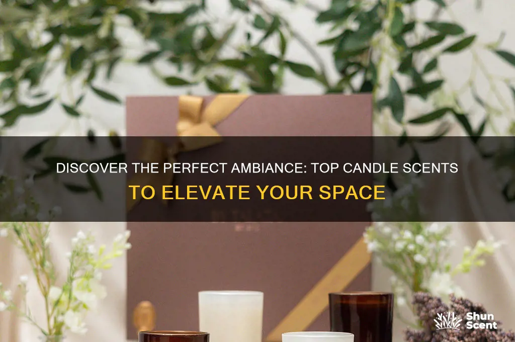 what is the best candle scent