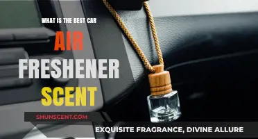 Discover the Ultimate Car Air Freshener Scent for a Fresh Ride