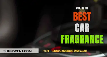 Car Scents: Finding the Perfect Fragrance for Your Drive